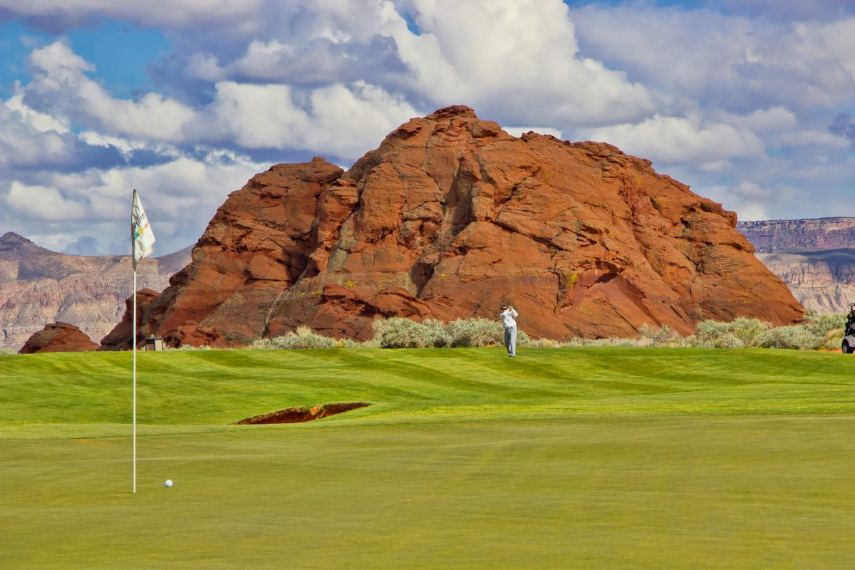 Red Rock Behind Green